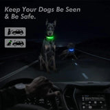 LED Adjustable Dog Collar - The Next Door Neighbor 