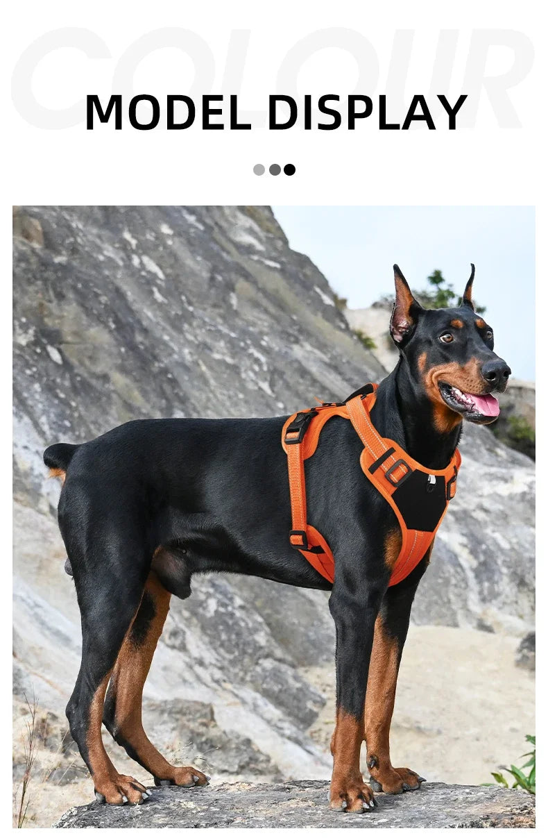 Multi-Functional Reflective No-Pull Dog Harness