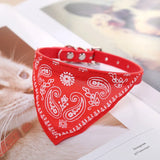 Cat Dog Collar with Scarf – Adjustable Pet Collar