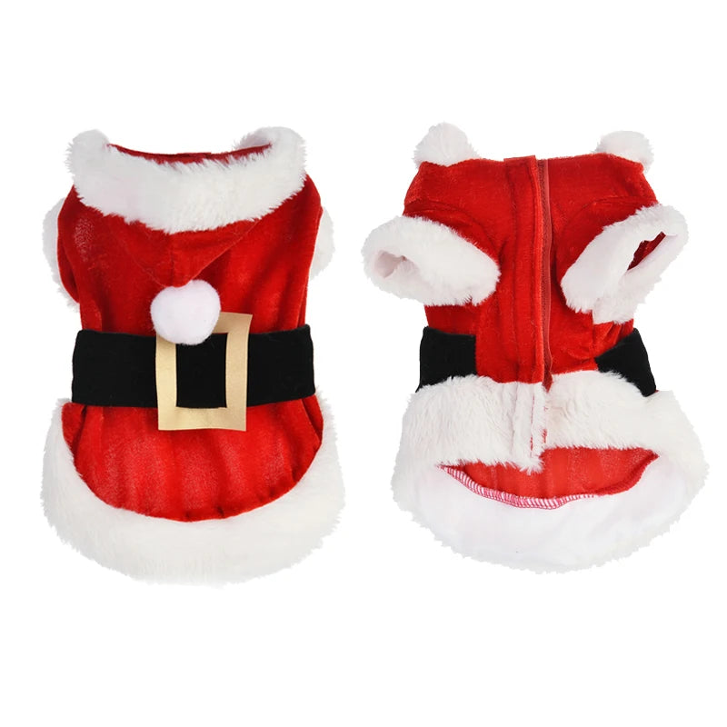 Santa Christmas Costume for Small Dogs