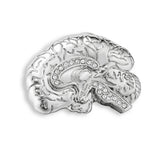 Medical Anatomy Brain Pin