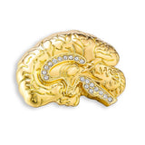 Medical Anatomy Brain Pin