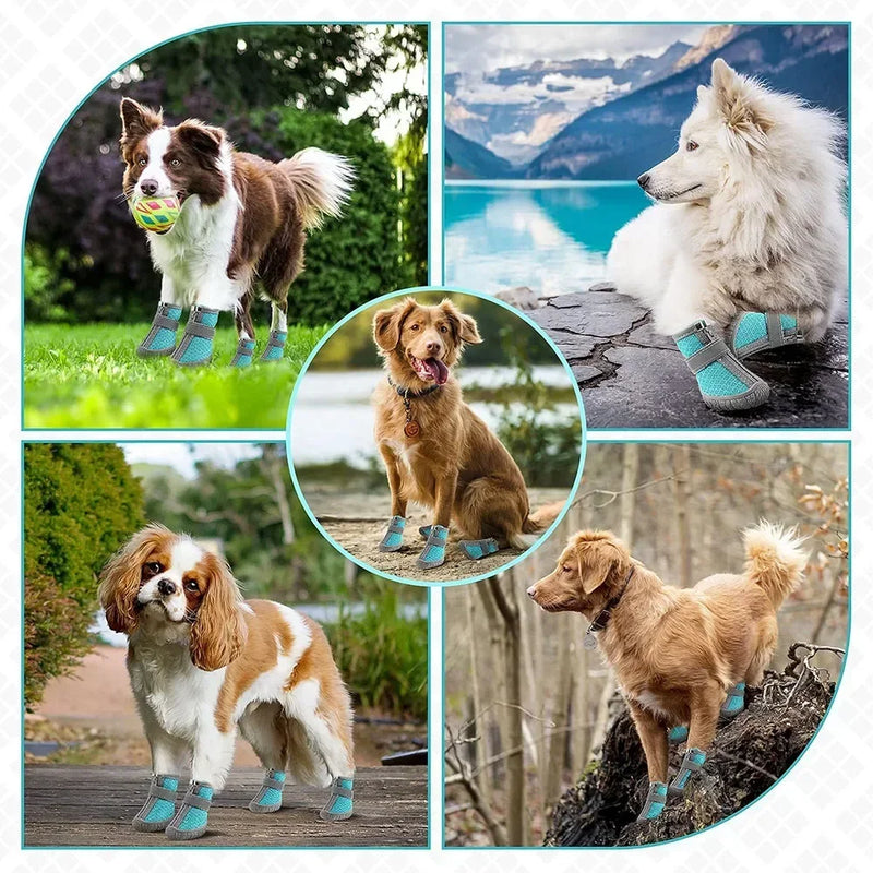 4pcs Summer Dog Shoes - Anti-Slip Pet Puppy Boots for Small Dogs