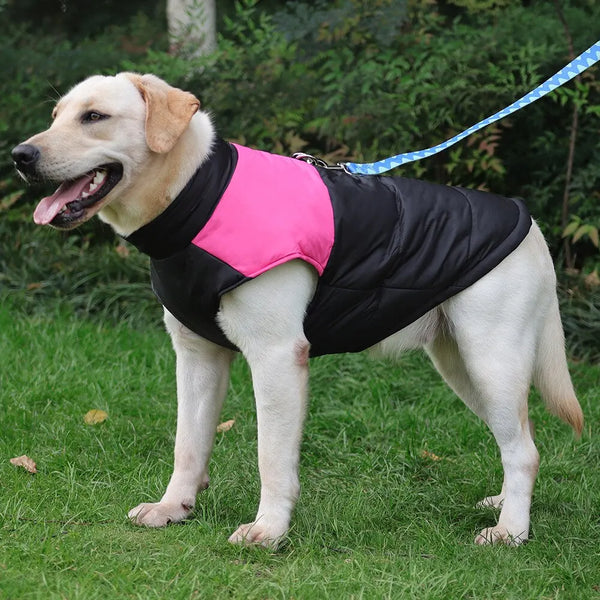 Thick Padded Pet Jackets