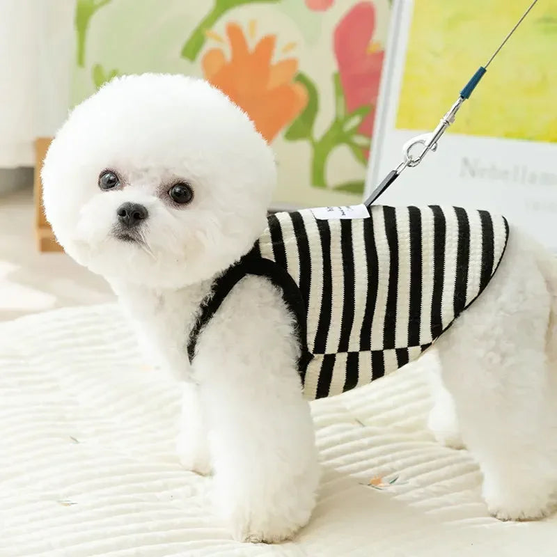 Pet Knitted Stripe Dog Clothes