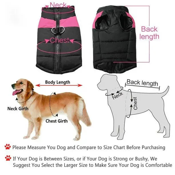 Thick Padded Pet Jackets