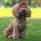 Pet Baseball Hat: Adjustable Cat and Dog Sun Visor Hat with Ear Holes