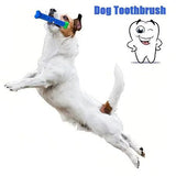 Dog Tooth Cleaning