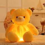 Glowing LED Teddy Bear - The Next Door Neighbor 