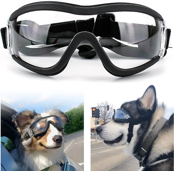 Dog Goggles