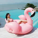 Inflatable Flamingo Float - The Next Door Neighbor 