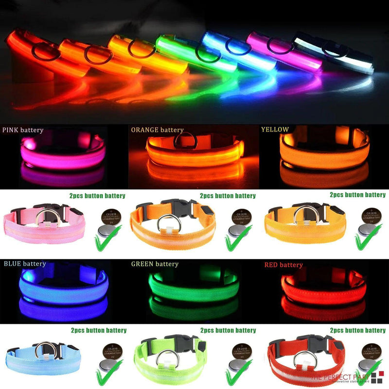 LED Adjustable Dog Collar - The Next Door Neighbor 