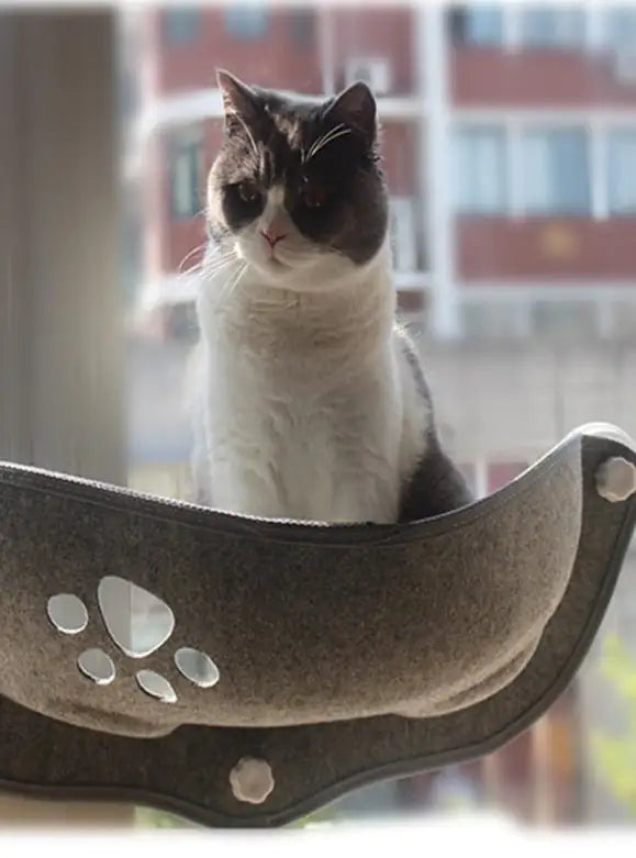 Cat Window Hammock - The Next Door Neighbor 