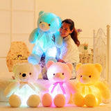 Glowing LED Teddy Bear - The Next Door Neighbor 