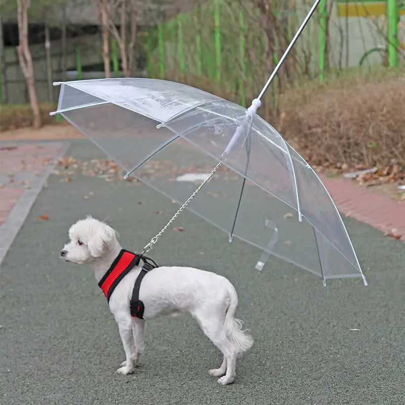 Small Pet Umbrella with Leash - The Next Door Neighbor 