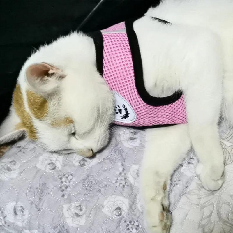 Cat or Dog Adjustable Pet Harness - The Next Door Neighbor 