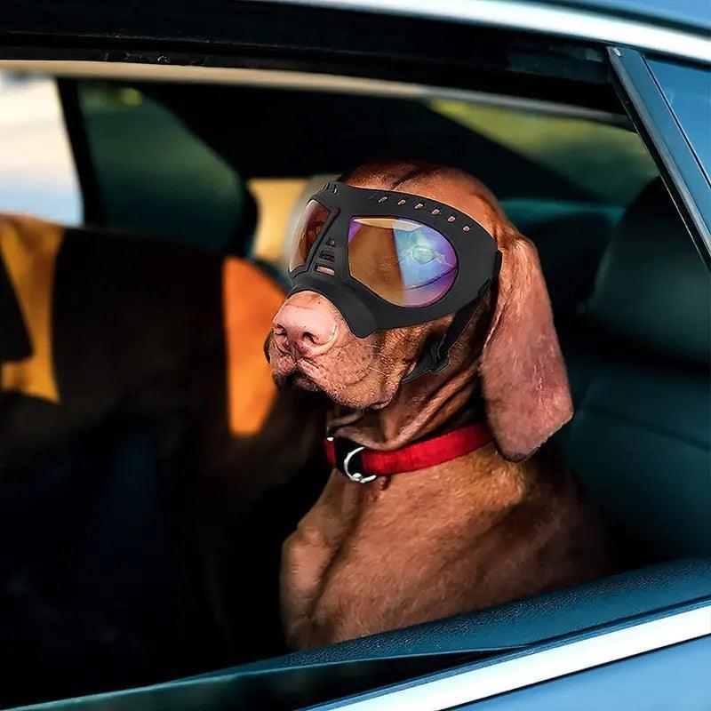 Dog Sunglass Windproof Summer Goggles