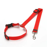 Nylon Pet Seatbelts - The Next Door Neighbor 