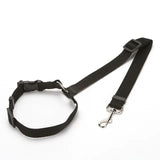 Nylon Pet Seatbelts - The Next Door Neighbor 