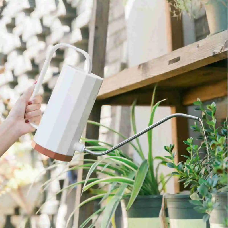 1.2 Liter Stainless Steel Watering Can - The Next Door Neighbor 