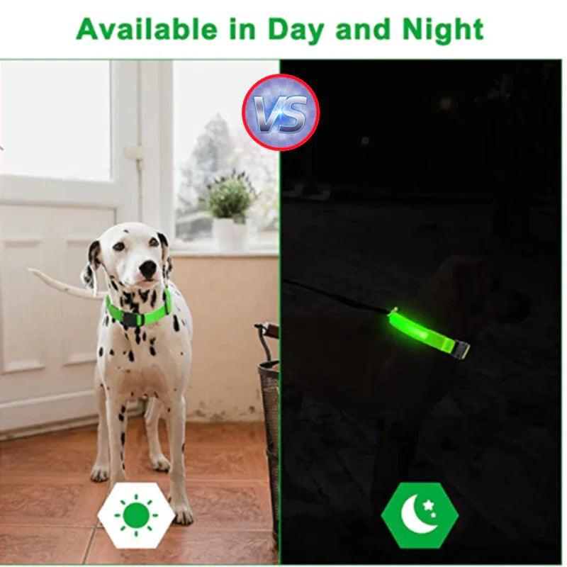 LED Adjustable Dog Collar - The Next Door Neighbor 