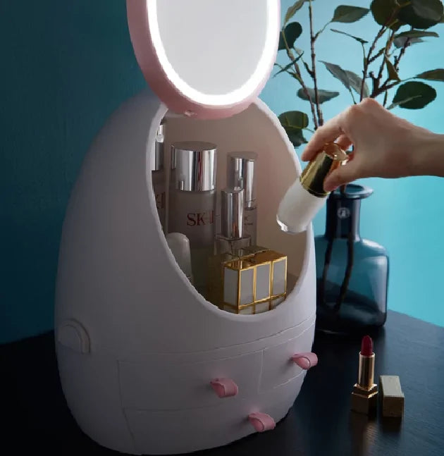 Cosmetics Storage Mirror