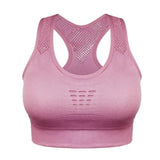 High Impact Seamless Sports Bra - The Next Door Neighbor 