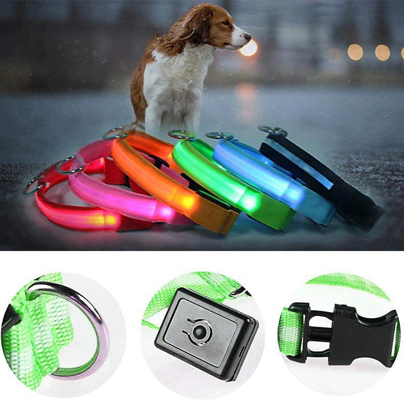 LED Adjustable Dog Collar - The Next Door Neighbor 