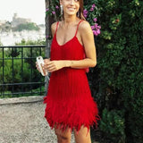 Fringed Sequin Feather Dress