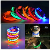 LED Adjustable Dog Collar - The Next Door Neighbor 