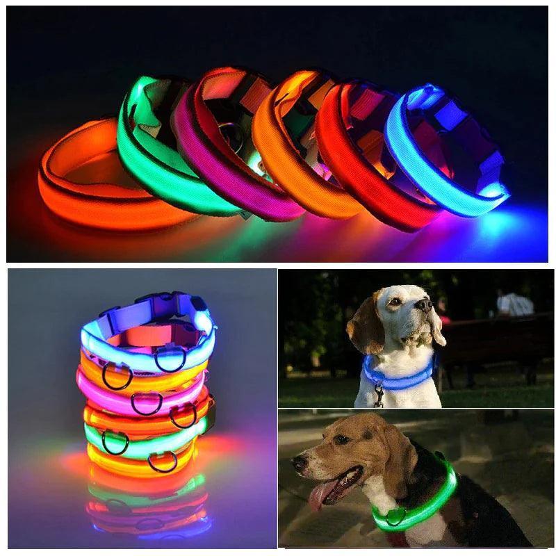 LED Adjustable Dog Collar - The Next Door Neighbor 