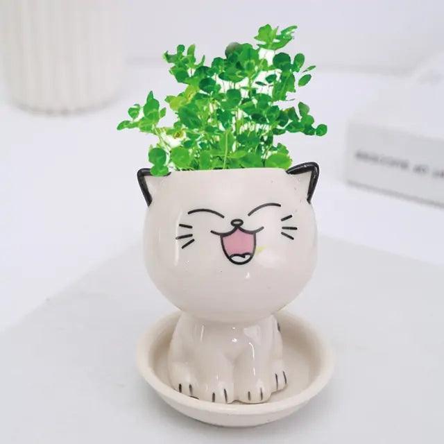 Mini Cat Shaped Cartoon Ceramic Flowerpot - The Next Door Neighbor 