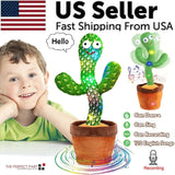 Dancing Cactus Plush Toy - The Next Door Neighbor 