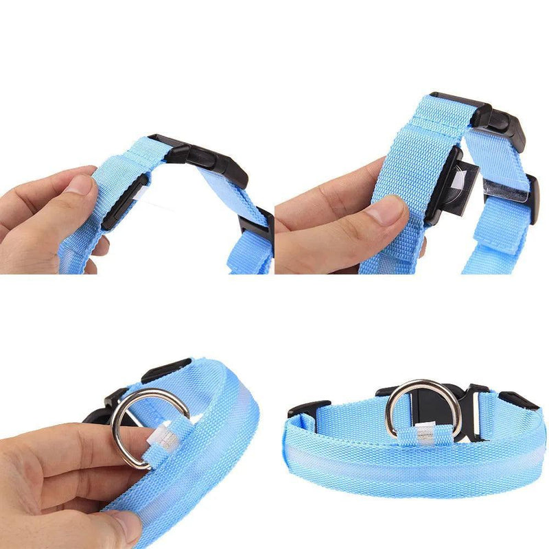 LED Adjustable Dog Collar - The Next Door Neighbor 