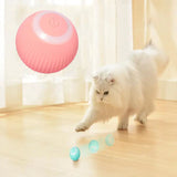 Electric Cat Rolling Ball