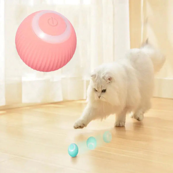 Electric Cat Rolling Ball