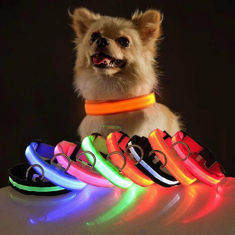 LED Adjustable Dog Collar - The Next Door Neighbor 