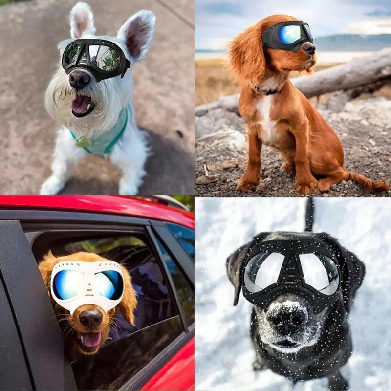 Dog Sunglass Windproof Summer Goggles