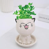 Mini Cat Shaped Cartoon Ceramic Flowerpot - The Next Door Neighbor 