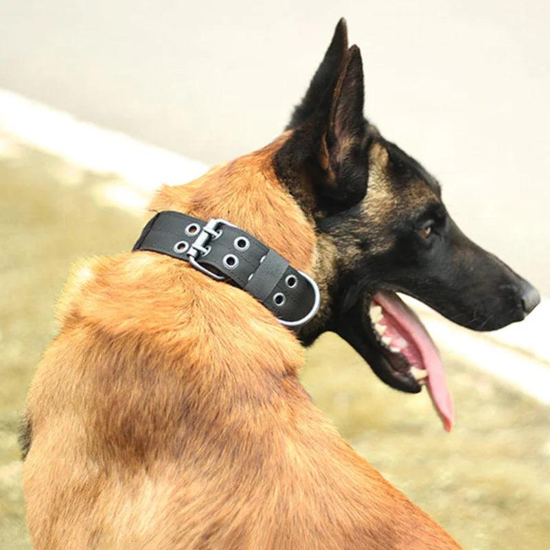 2" Wide Tactical Heavy Duty Nylon Large Dog Collar