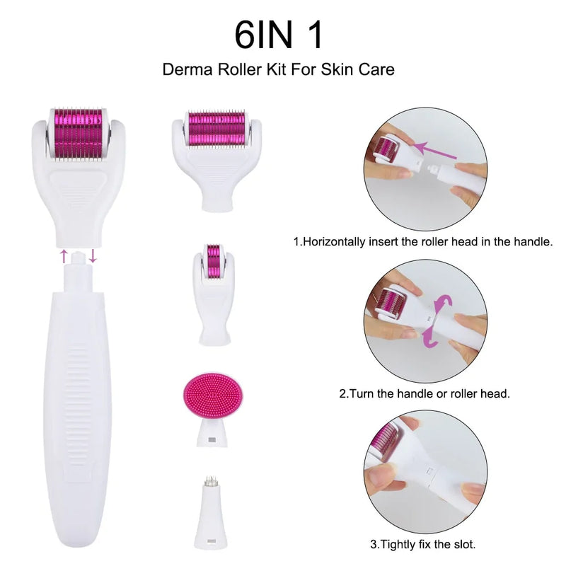 6 in 1 Derma Roller Cosmetic Microneedle Kit - The Next Door Neighbor 