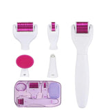 6 in 1 Derma Roller Cosmetic Microneedle Kit - The Next Door Neighbor 